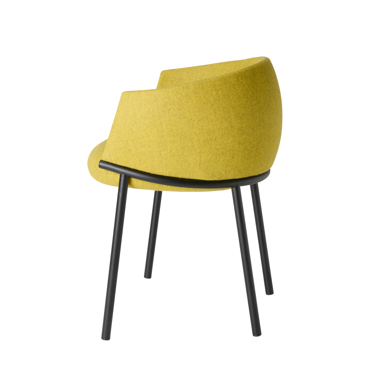 Scab Design Koala Dining Chair – Premium Italian Luxury Furniture