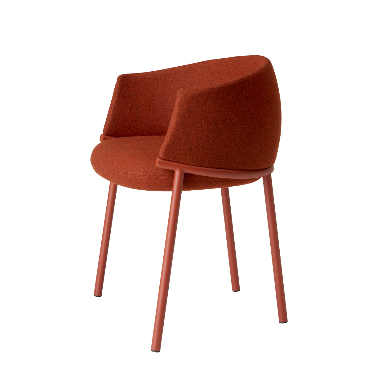 Scab Design Koala Dining Chair – Premium Italian Luxury Furniture