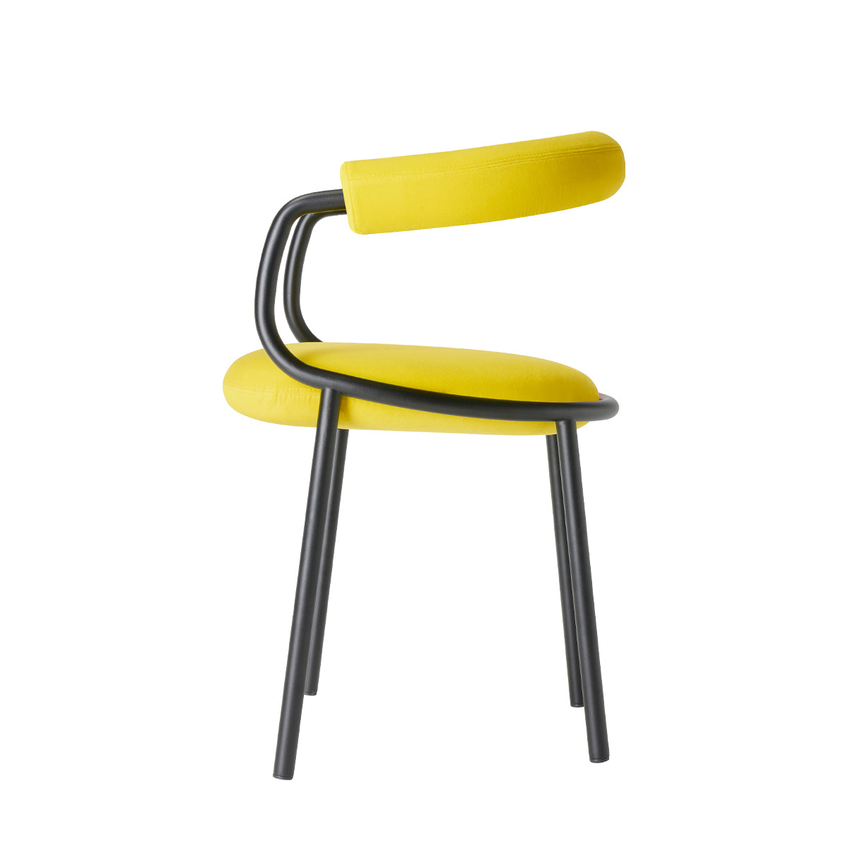 Koala Open Chair with Armrests  | Luxury Furniture | Scab Design