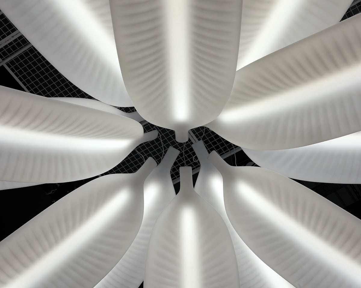 Banana Leaf Suspension Lamp | Deigned by Marcantonio | Slide Design