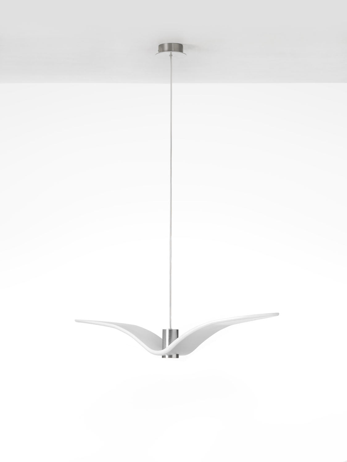 Night Birds Pendant Lamp | Luxury Lighting | Brokis