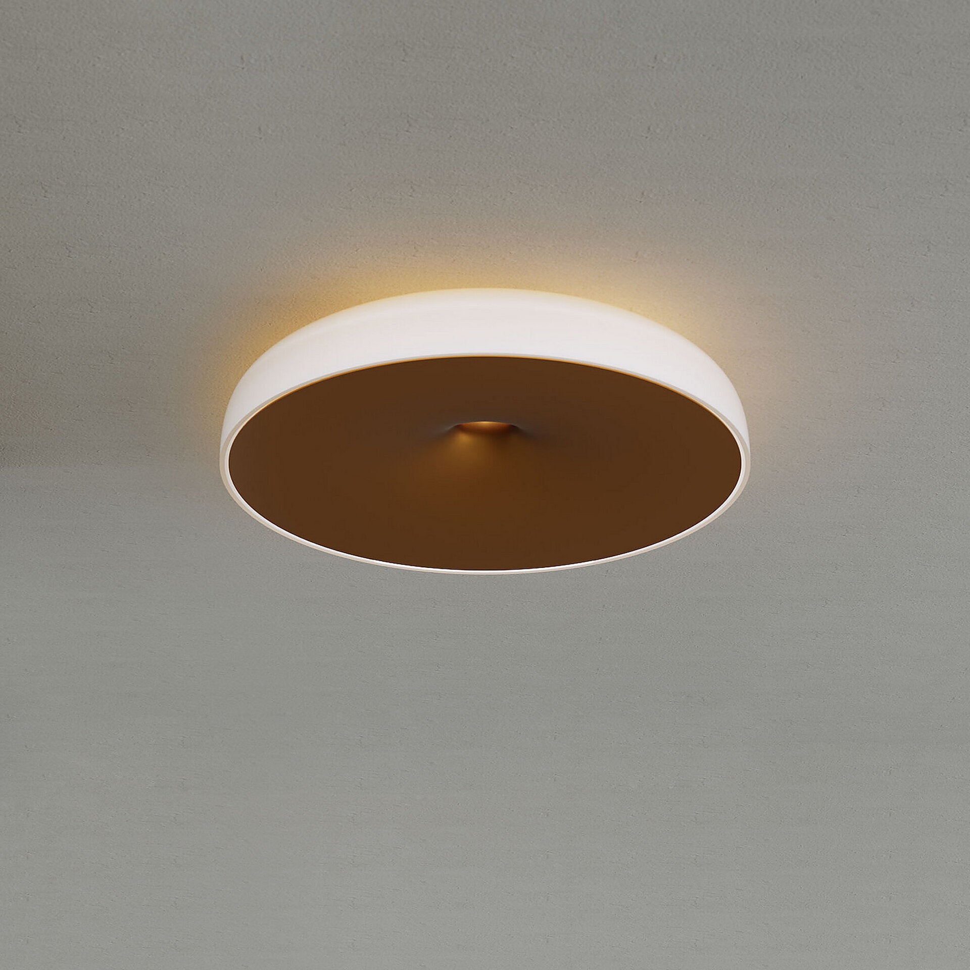 Ceiling Light
