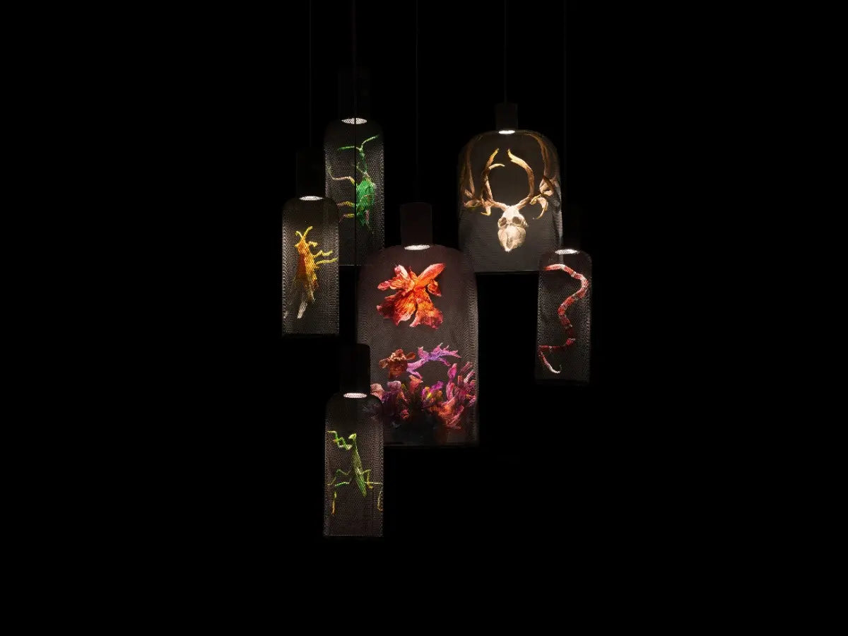 Curio Art Pendant Lamp | Kenneth Cobonpue