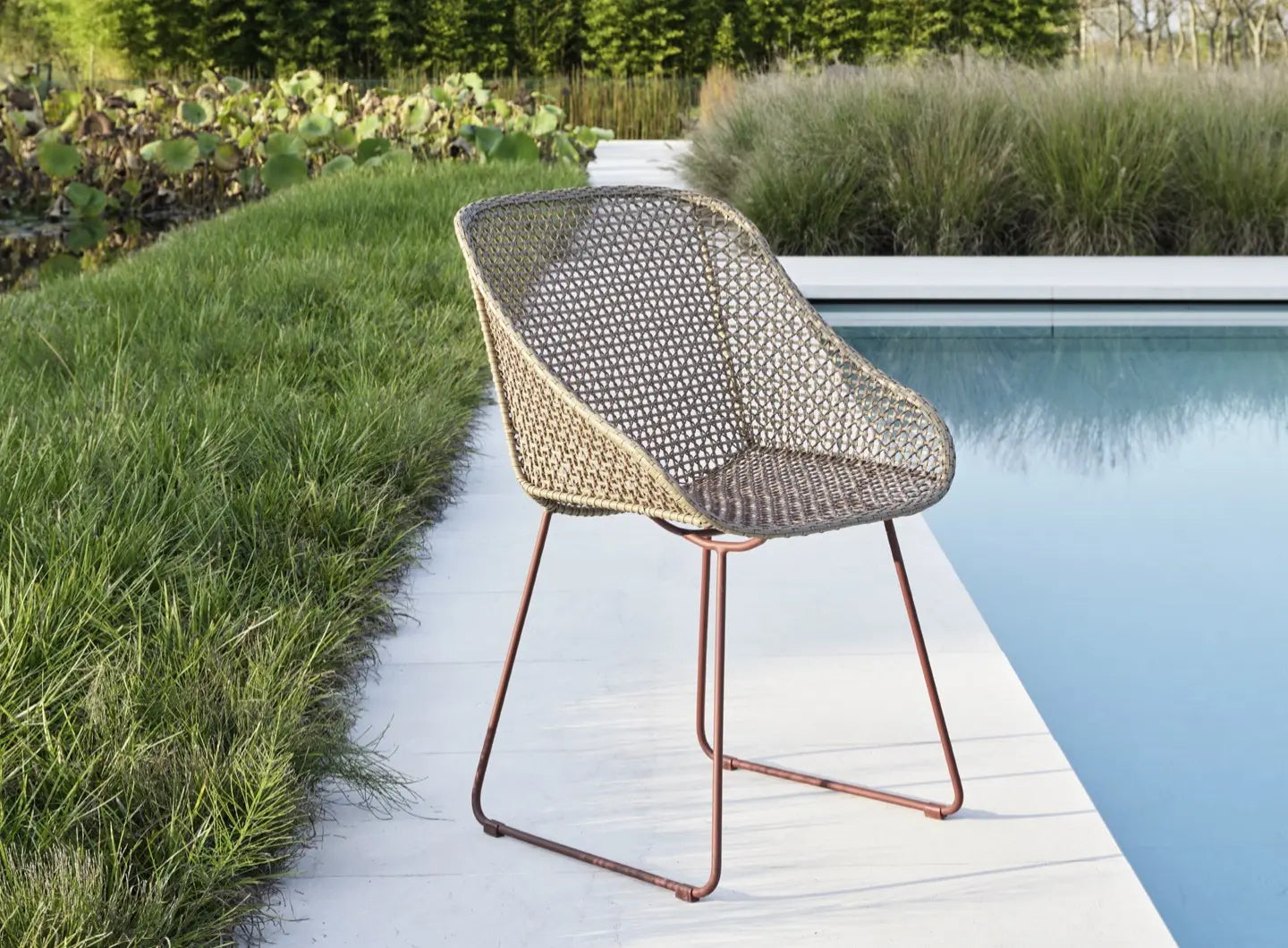 Colette 24 Dining Chair with Armrests | Luxury Living Gervasoni