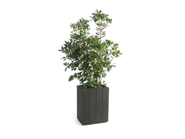 Fence Vase — Architectural Italian Indoor/Outdoor Planter by Serralunga