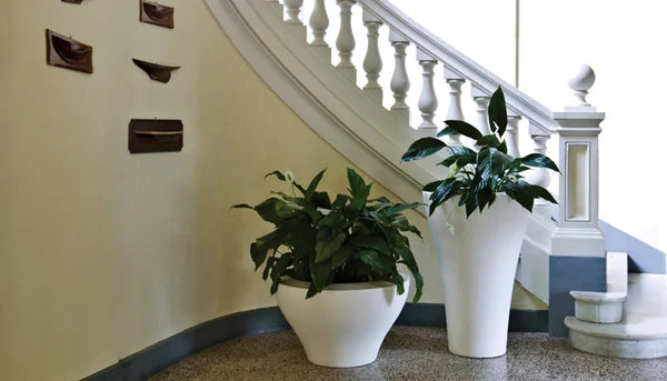 Ming High — Tall Sculptural Indoor/Outdoor Planter by Serralunga