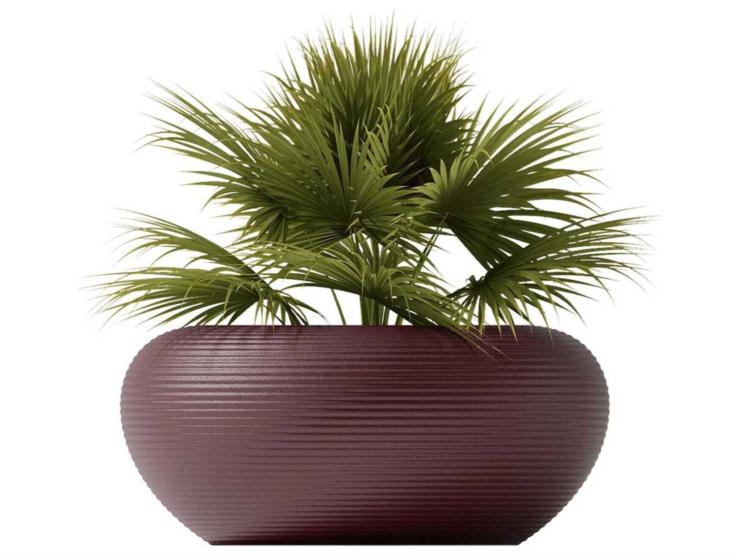 Qeeboo Nami Planter with greenery, smooth rounded Italian design