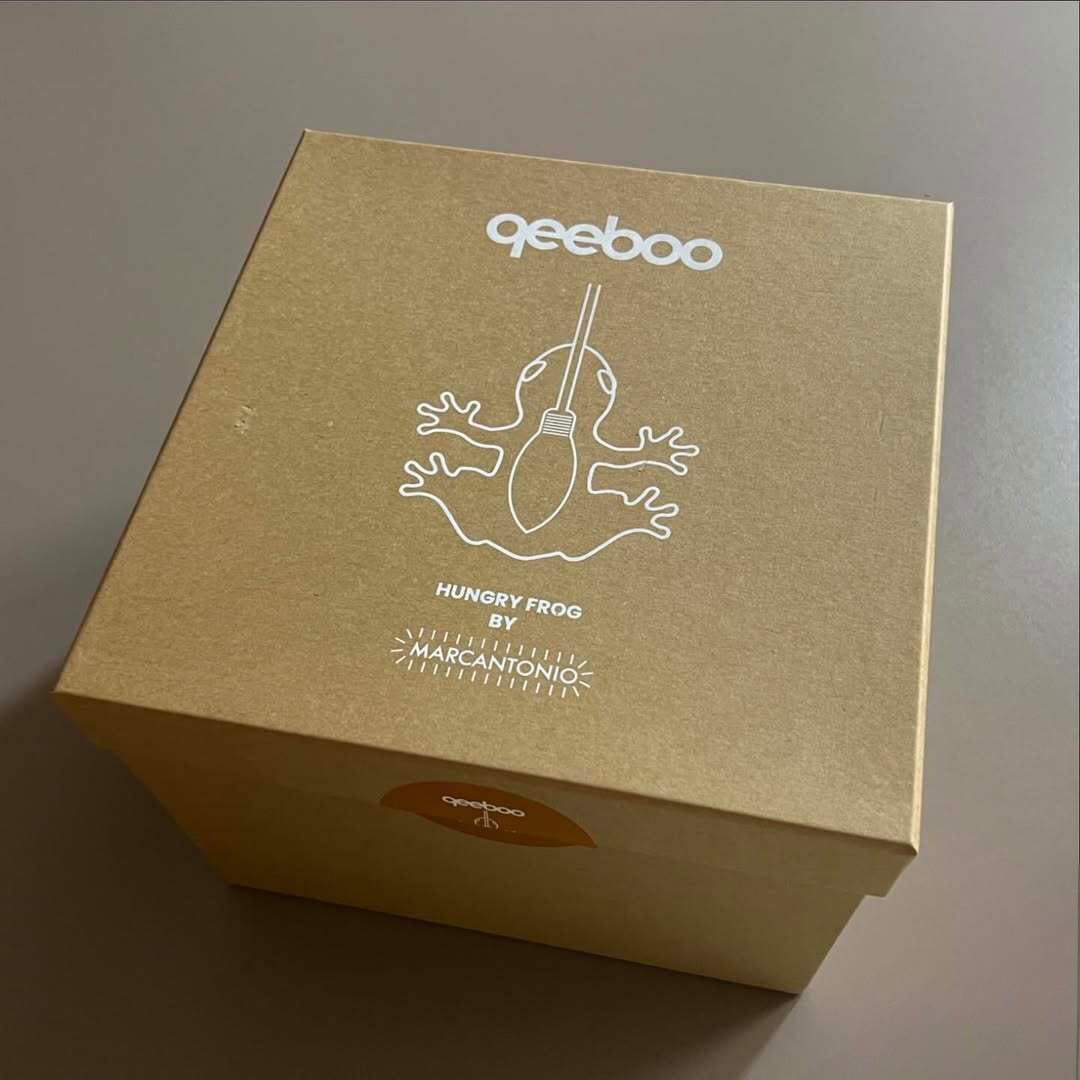 Brown box packaging with 'geeboo' branding and a frog illustration on a gray background