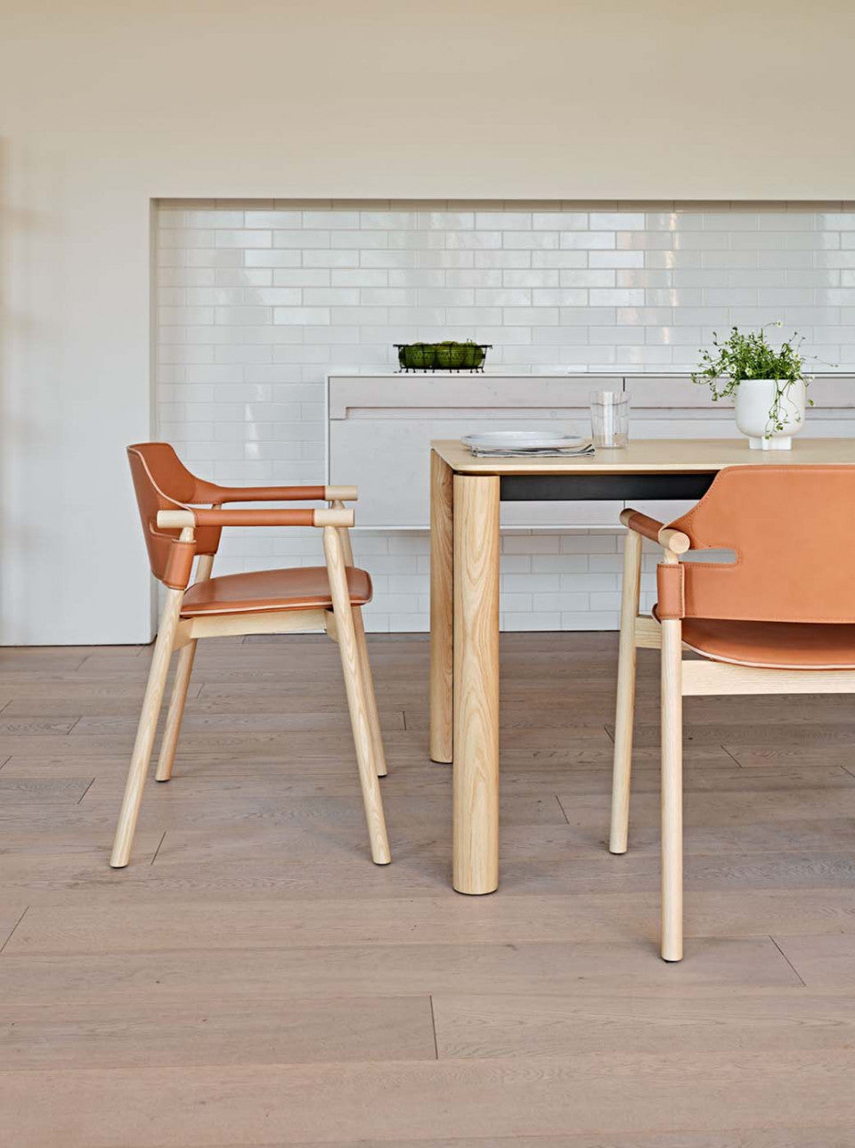 Suite Dining Chair with Armrests | Midj Contemporary Design