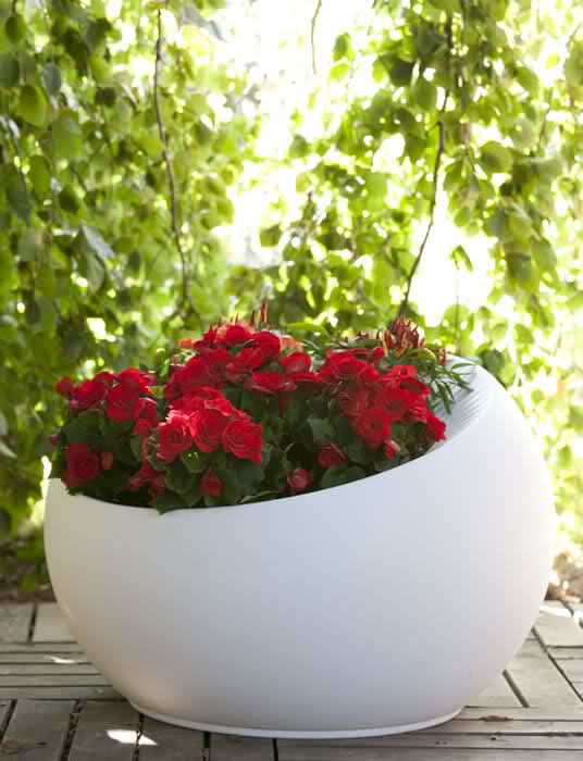 Uovo di Colombo Vase with Lighting — Illuminated Planter by Serralunga