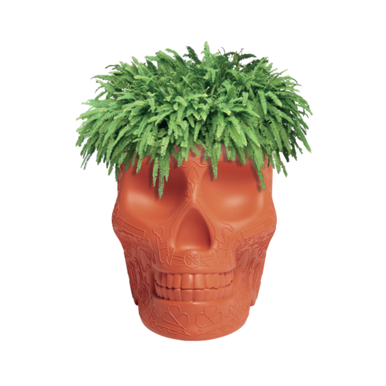 Mexico Planter | Designed by Studio Job | Qeeboo