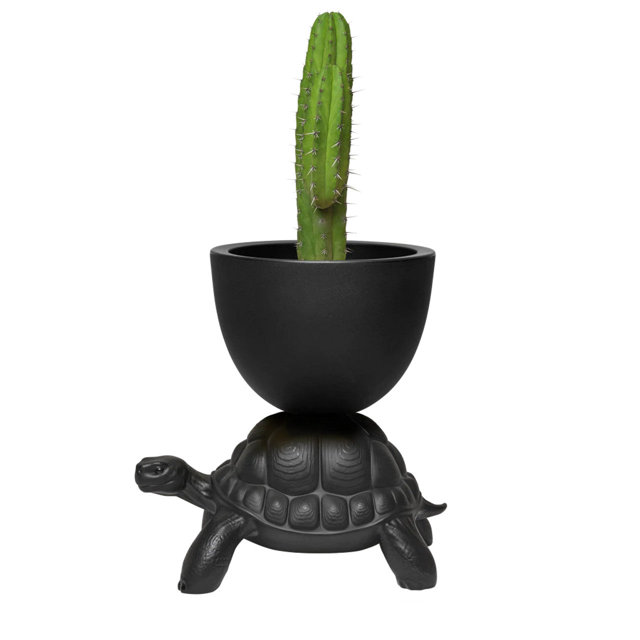 Turtle Carry Planter | Designed by Marcantonio | Qeeboo