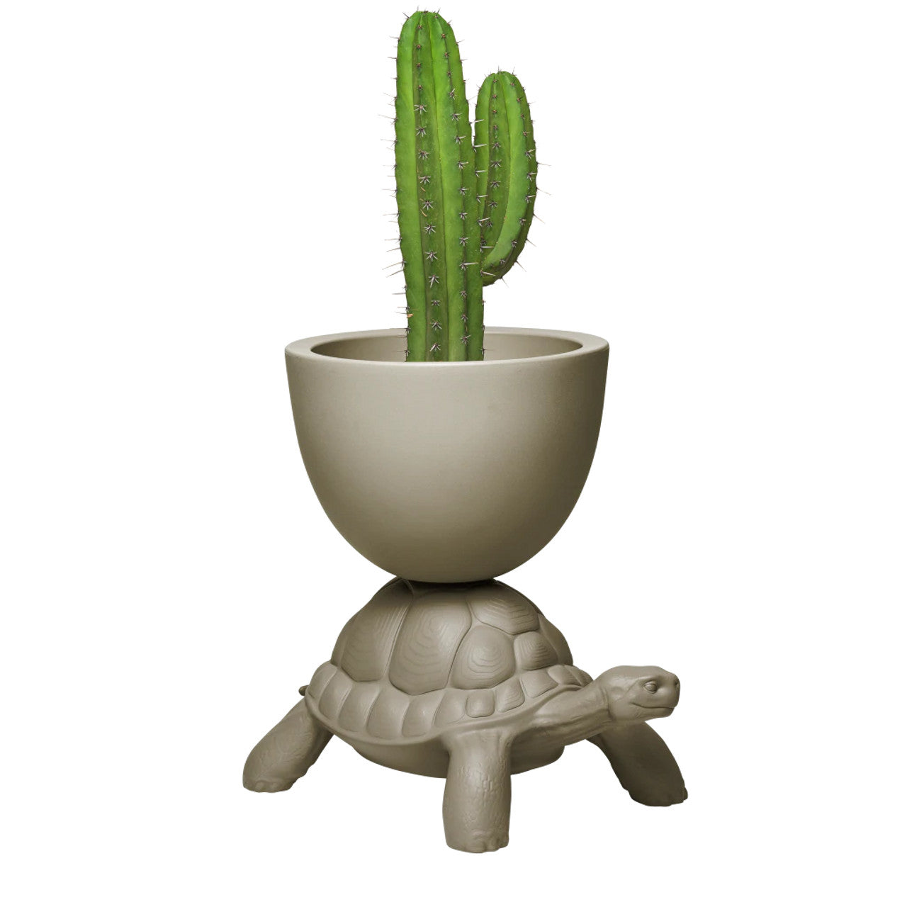 Turtle Carry Planter | Designed by Marcantonio | Qeeboo