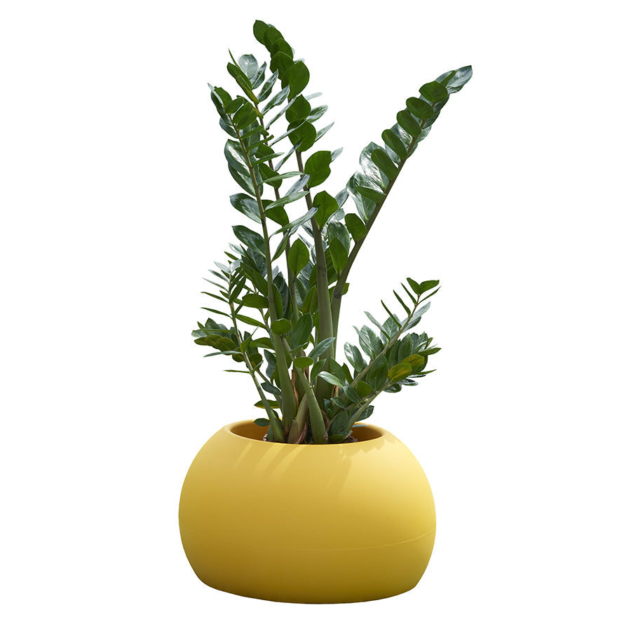 Blos Flower Pot | Designed by Karim Rashid | Slide Design