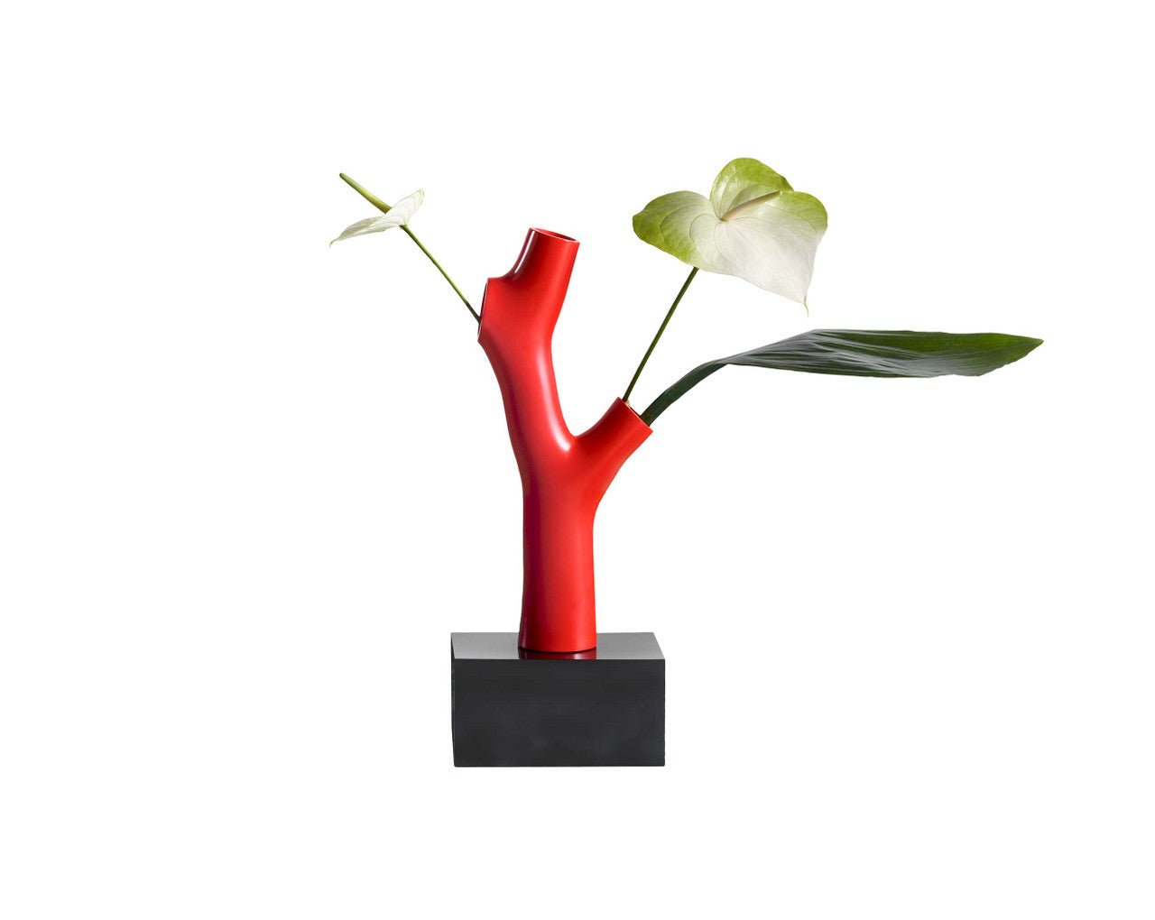 Korall Vase | Designed by Andrea Branzi | Qeeboo