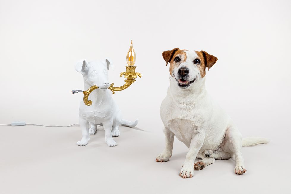 Rio Table Floor Lamp | Designed by Marcantonio | Seletti