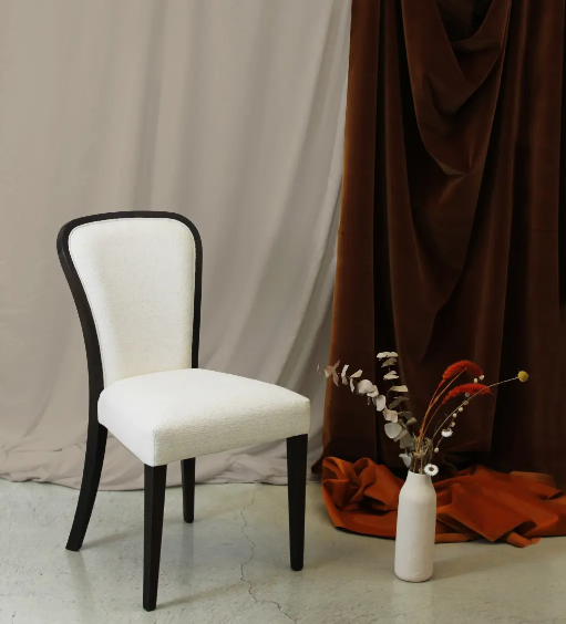 S Teti Dining Chair | Classic Contemporary Seating | Set of 2 | Modonutti