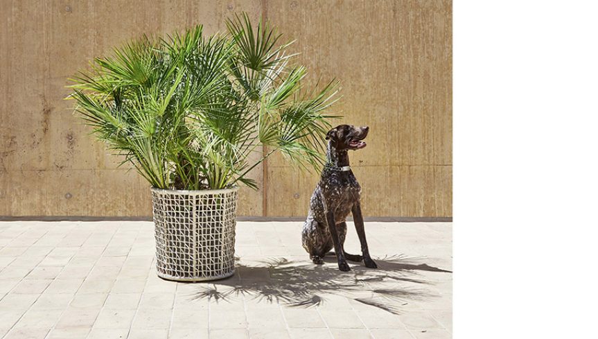 Emma Plant Pot | Designed by Monica Armani | Varaschin