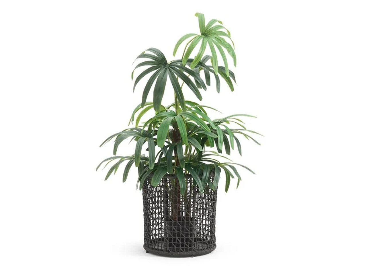 Emma Plant Pot | Designed by Monica Armani | Varaschin