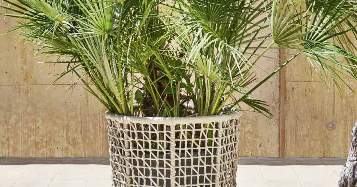 Emma Plant Pot | Designed by Monica Armani | Varaschin