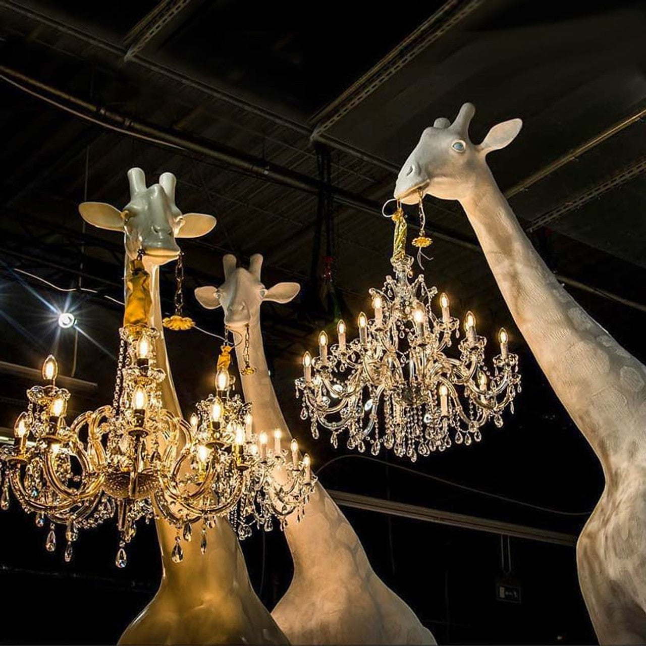 Artistic giraffe silhouette with romantic chandelier lighting
