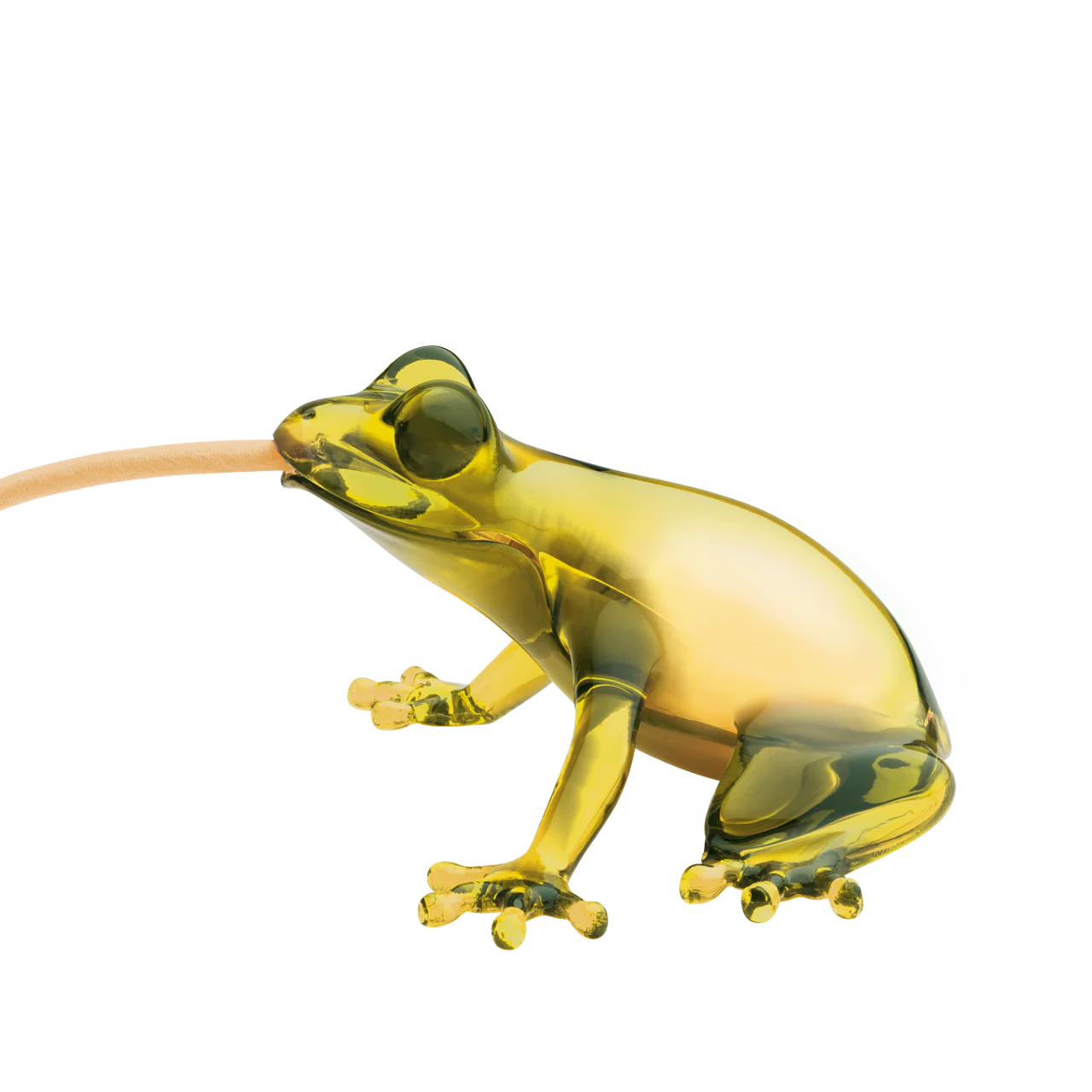 Hungry Frog Wall Table Lamp by Qeeboo designed by Marcantonio